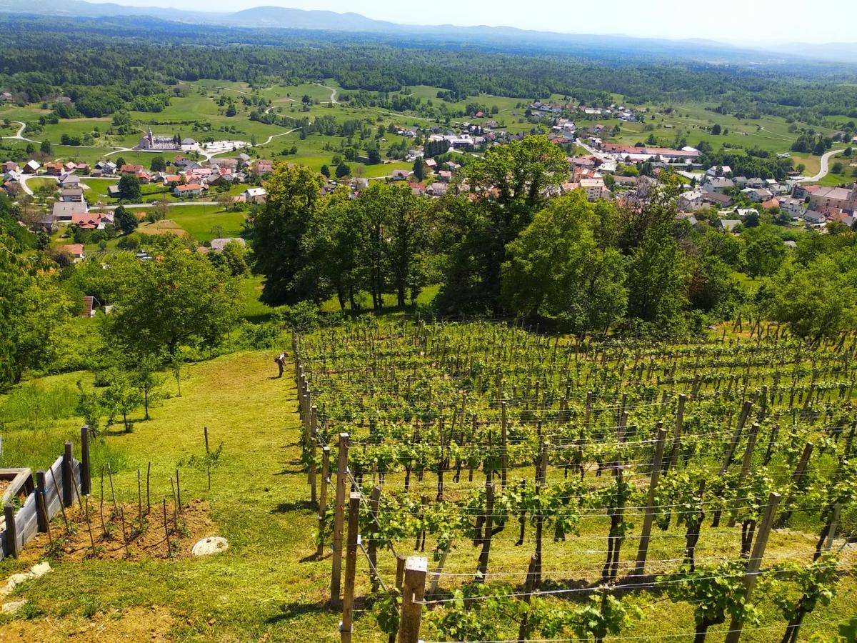 Zidanica-Vineyard Cottage Jakse Semic Exterior foto