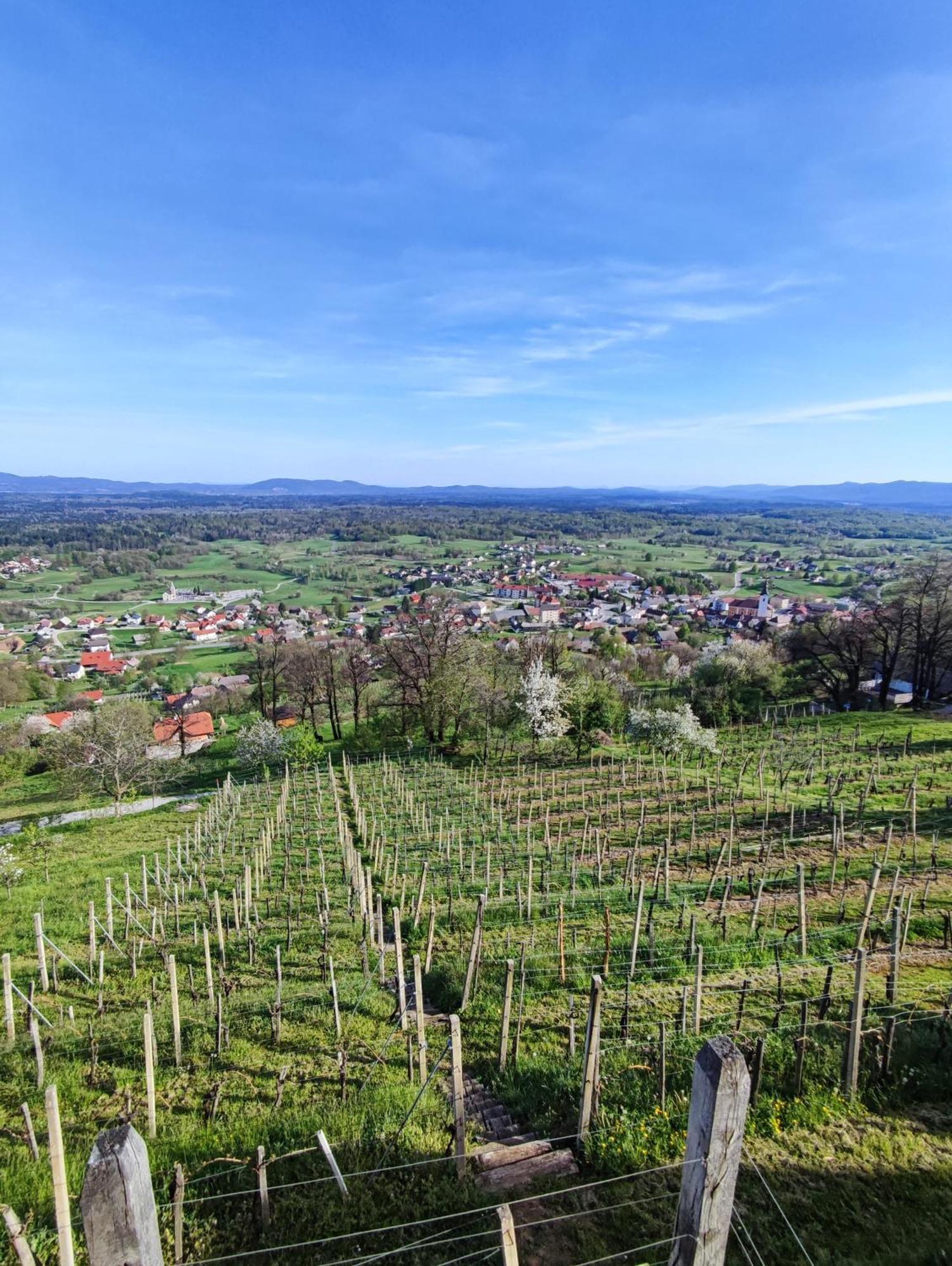 Zidanica-Vineyard Cottage Jakse Semic Exterior foto