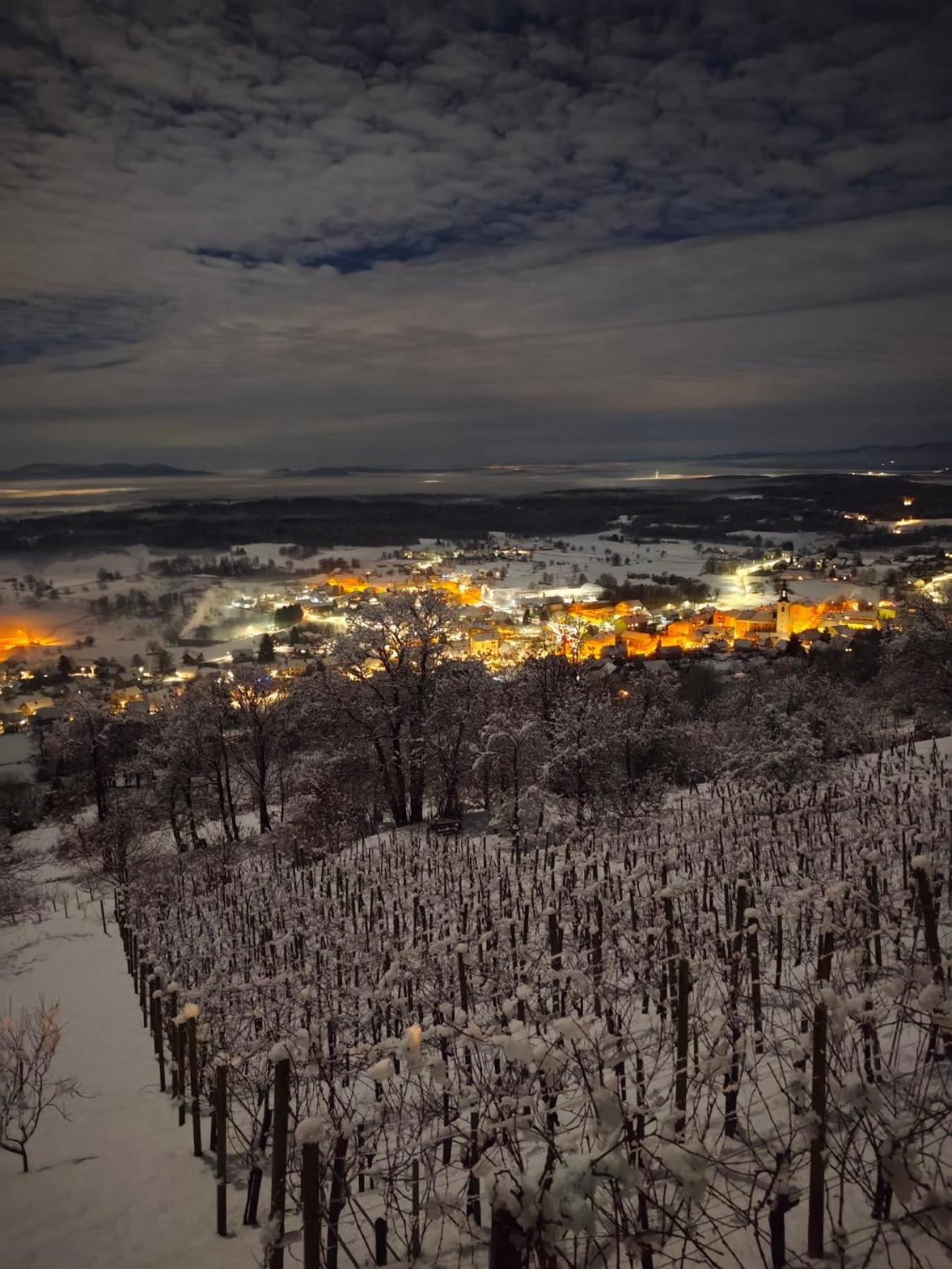 Zidanica-Vineyard Cottage Jakse Semic Zimmer foto